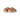 Ugg - Tasman in Dark Cherry Sand