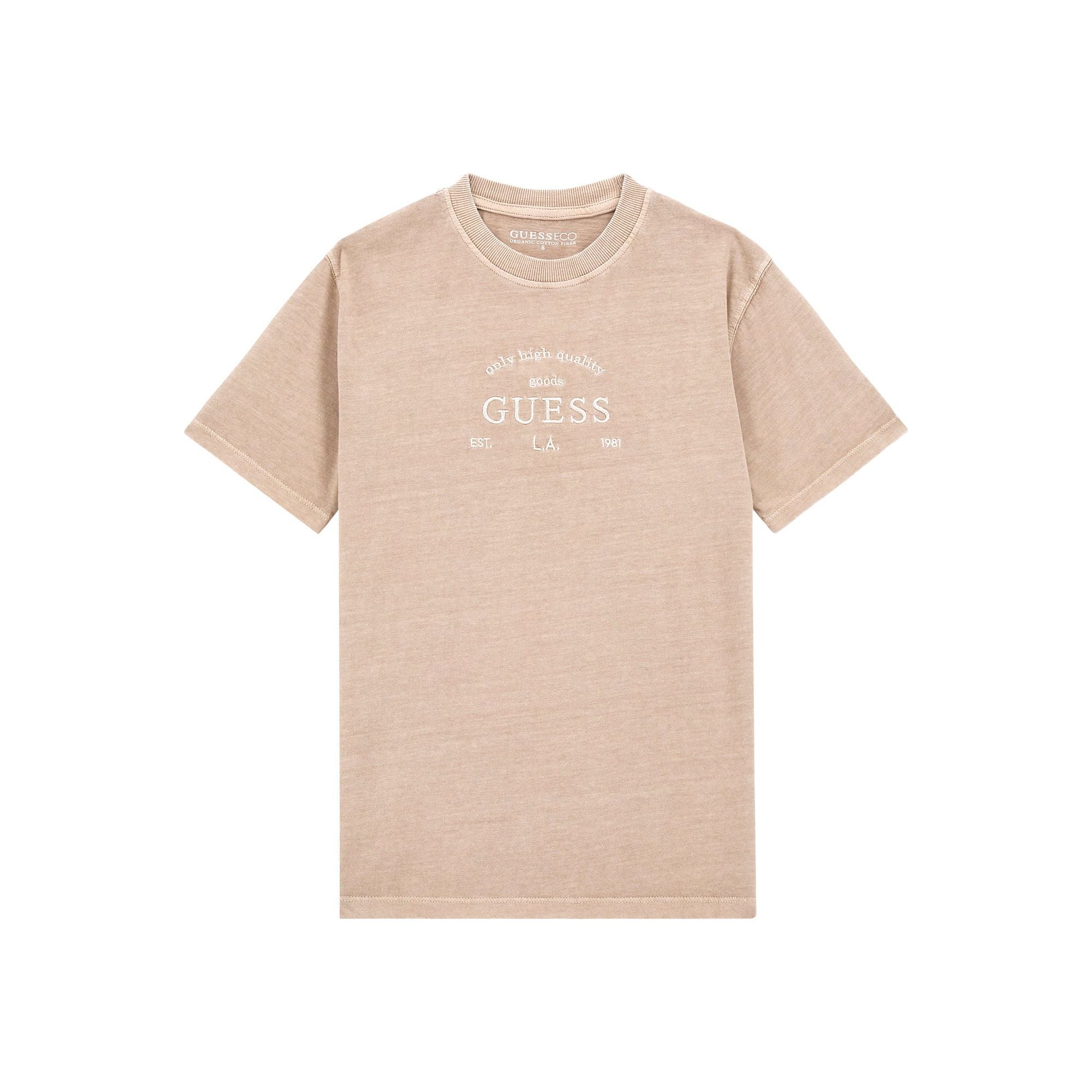 Guess - Boys Tee in Pasadena Stone