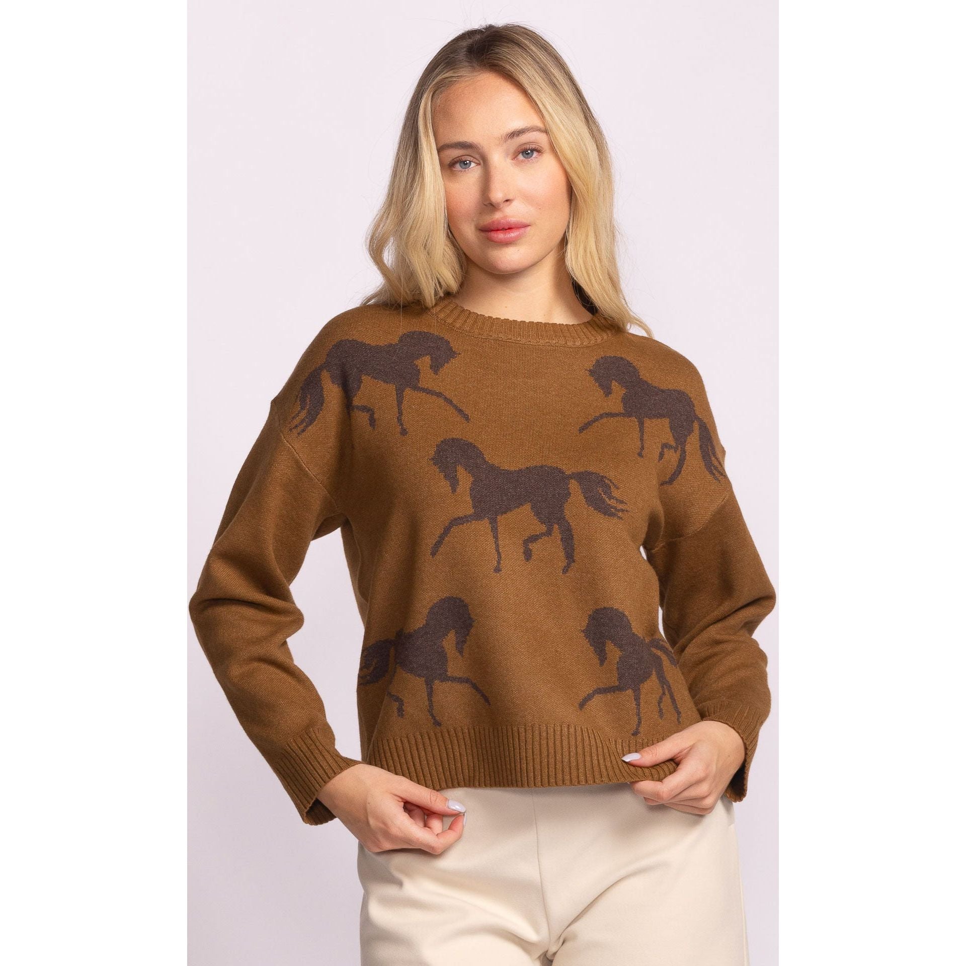 Pink Martini - Meadow Sweater in Brown