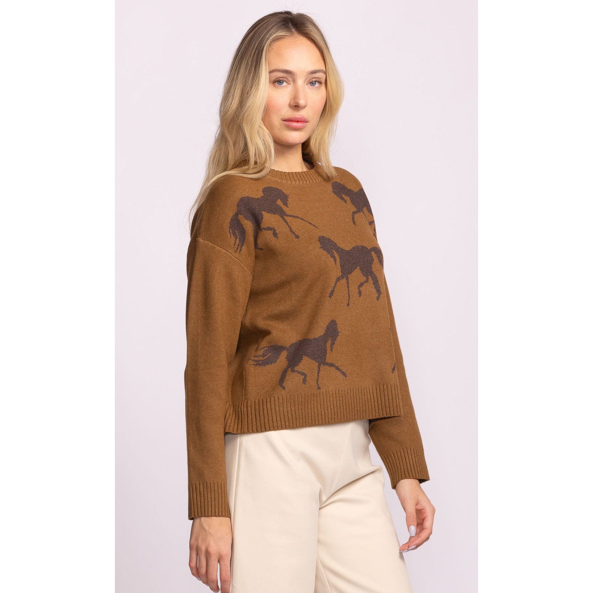Pink Martini - Meadow Sweater in Brown