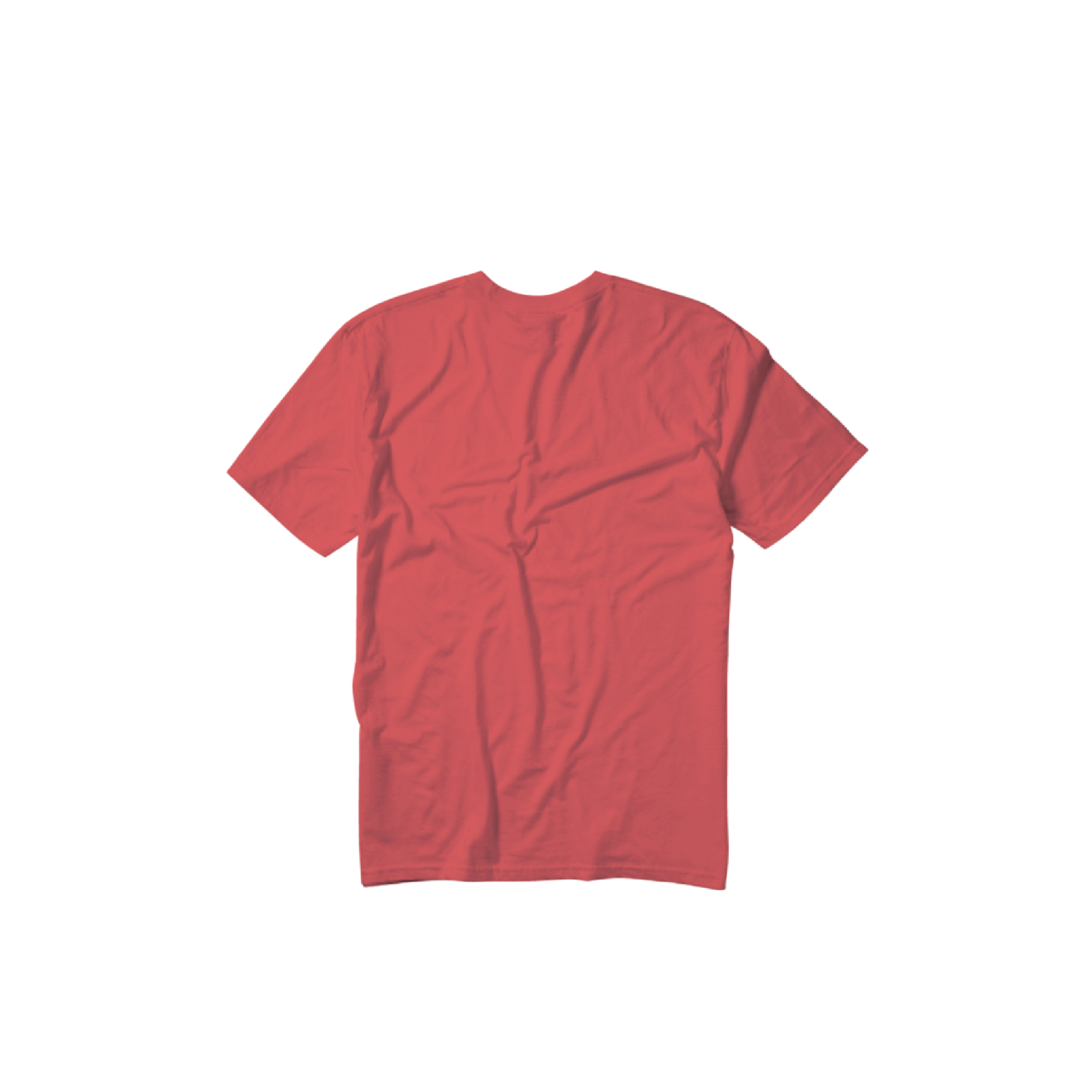 Quicksilver - Omni Wave T-Shirt in Spiced Coral