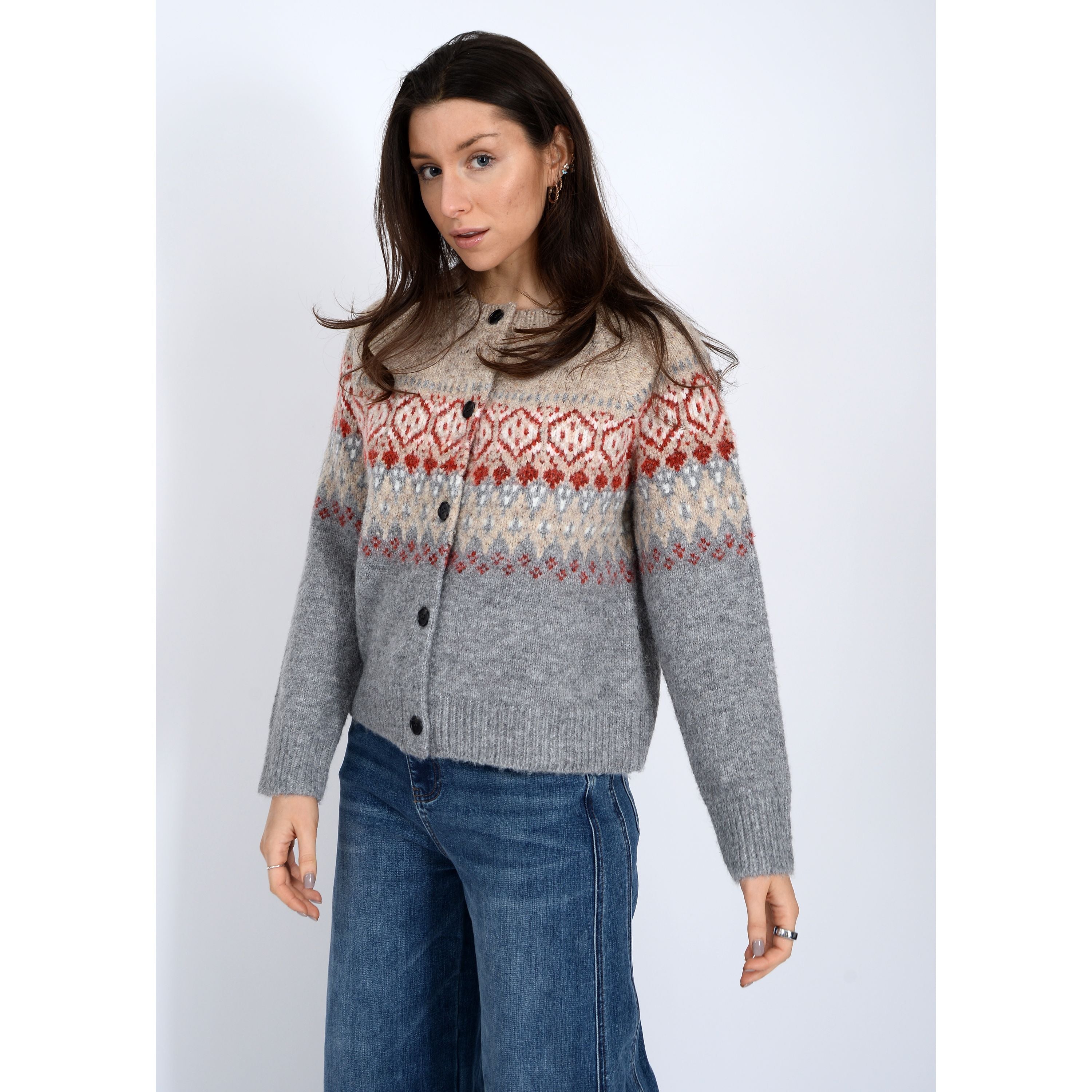 RD Style  -Themis Cardigan in Neptune Fairisle
