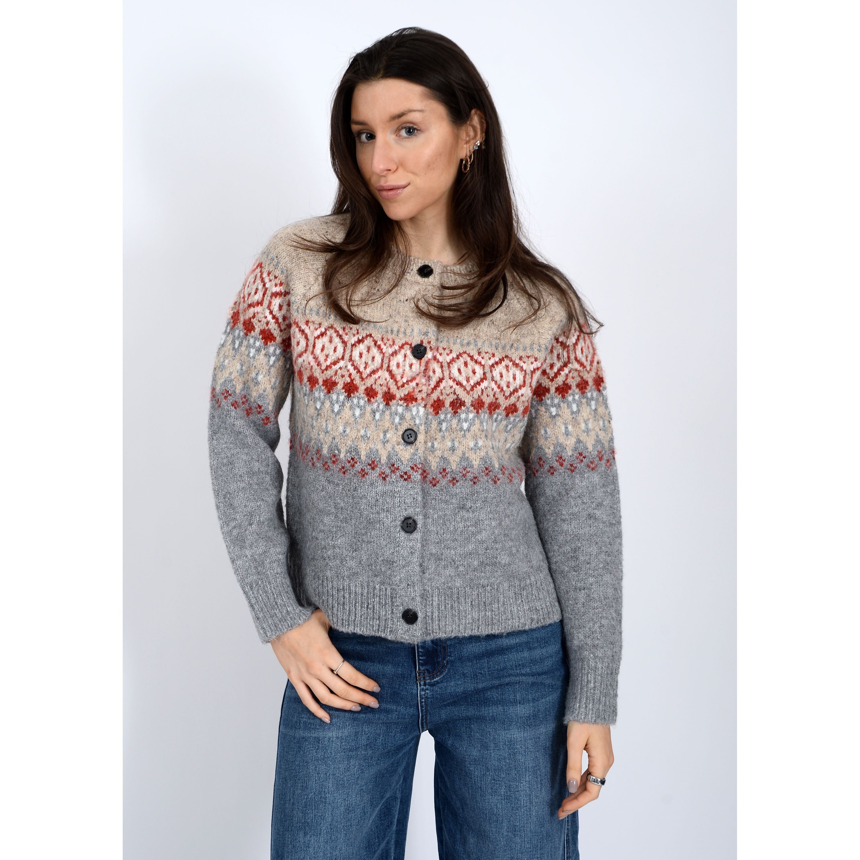 RD Style  -Themis Cardigan in Neptune Fairisle